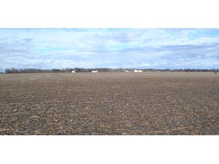 Property photo 4 - LAND AUCTION - 340+/- ACRES OFFERED IN 5 TRACTS IN FOUNTAIN COUNTY