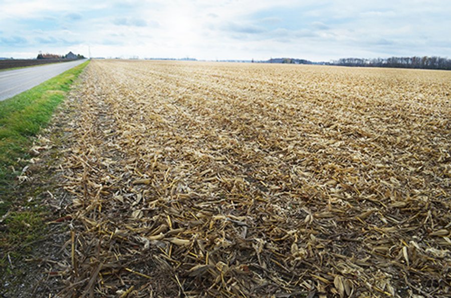 LAND AUCTION - 276.5+/- ACRES OFFERED IN 5 TRACTS IN EAST ALLEN COUNTY