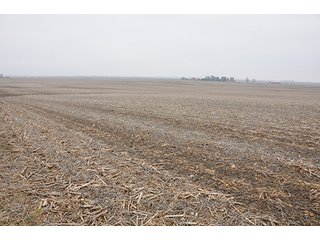Property photo 18 - LAND AUCTION - 271+/- ACRES OFFERED IN 4 TRACTS IN BUREAU COUNTY, IL