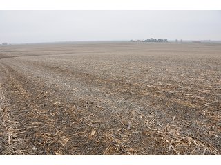 Property photo 17 - LAND AUCTION - 271+/- ACRES OFFERED IN 4 TRACTS IN BUREAU COUNTY, IL