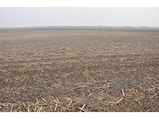 Property photo 14 - LAND AUCTION - 271+/- ACRES OFFERED IN 4 TRACTS IN BUREAU COUNTY, IL