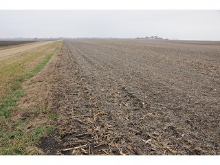 Property photo 13 - LAND AUCTION - 271+/- ACRES OFFERED IN 4 TRACTS IN BUREAU COUNTY, IL