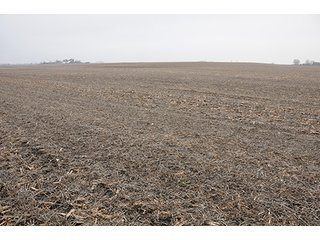 Property photo 12 - LAND AUCTION - 271+/- ACRES OFFERED IN 4 TRACTS IN BUREAU COUNTY, IL