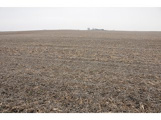 Property photo 11 - LAND AUCTION - 271+/- ACRES OFFERED IN 4 TRACTS IN BUREAU COUNTY, IL