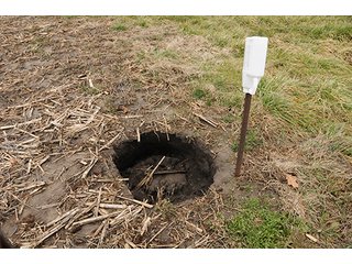 Property photo 10 - LAND AUCTION - 271+/- ACRES OFFERED IN 4 TRACTS IN BUREAU COUNTY, IL