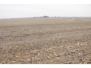 Property photo 7 - LAND AUCTION - 271+/- ACRES OFFERED IN 4 TRACTS IN BUREAU COUNTY, IL