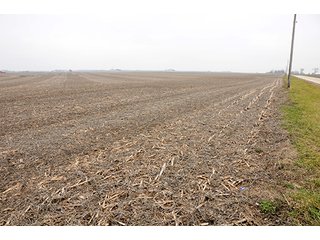 Property photo 6 - LAND AUCTION - 271+/- ACRES OFFERED IN 4 TRACTS IN BUREAU COUNTY, IL