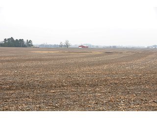 Property photo 3 - LAND AUCTION - 271+/- ACRES OFFERED IN 4 TRACTS IN BUREAU COUNTY, IL