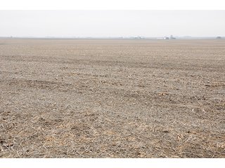 Property photo 4 - LAND AUCTION - 271+/- ACRES OFFERED IN 4 TRACTS IN BUREAU COUNTY, IL