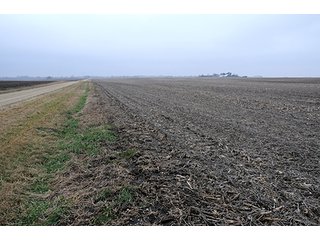 Property photo 20 - LAND AUCTION - 241.8+/- ACRES OFFERED IN 3 TRACTS IN SHELBY COUNTY, IL