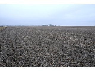 Property photo 21 - LAND AUCTION - 241.8+/- ACRES OFFERED IN 3 TRACTS IN SHELBY COUNTY, IL