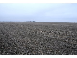 Property photo 18 - LAND AUCTION - 241.8+/- ACRES OFFERED IN 3 TRACTS IN SHELBY COUNTY, IL