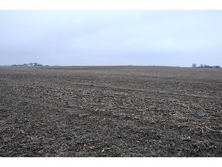 Property photo 22 - LAND AUCTION - 241.8+/- ACRES OFFERED IN 3 TRACTS IN SHELBY COUNTY, IL