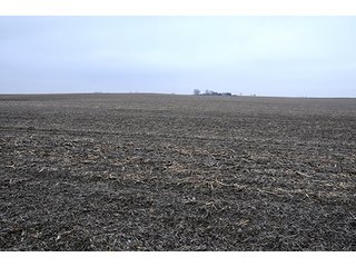 Property photo 23 - LAND AUCTION - 241.8+/- ACRES OFFERED IN 3 TRACTS IN SHELBY COUNTY, IL
