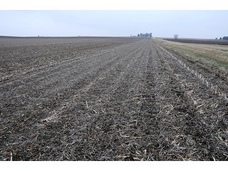Property photo 24 - LAND AUCTION - 241.8+/- ACRES OFFERED IN 3 TRACTS IN SHELBY COUNTY, IL