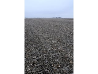 Property photo 25 - LAND AUCTION - 241.8+/- ACRES OFFERED IN 3 TRACTS IN SHELBY COUNTY, IL
