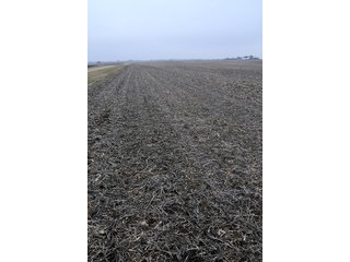 Property photo 26 - LAND AUCTION - 241.8+/- ACRES OFFERED IN 3 TRACTS IN SHELBY COUNTY, IL