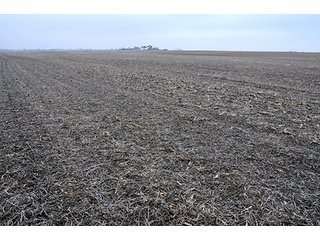 Property photo 27 - LAND AUCTION - 241.8+/- ACRES OFFERED IN 3 TRACTS IN SHELBY COUNTY, IL