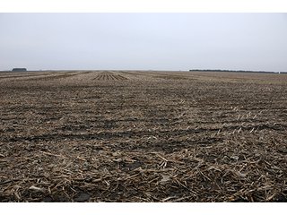 Property photo 28 - LAND AUCTION - 241.8+/- ACRES OFFERED IN 3 TRACTS IN SHELBY COUNTY, IL
