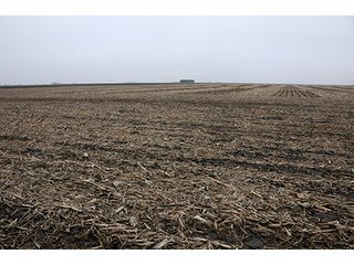 Property photo 29 - LAND AUCTION - 241.8+/- ACRES OFFERED IN 3 TRACTS IN SHELBY COUNTY, IL
