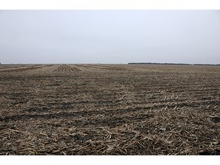 Property photo 30 - LAND AUCTION - 241.8+/- ACRES OFFERED IN 3 TRACTS IN SHELBY COUNTY, IL