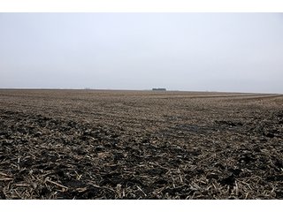 Property photo 31 - LAND AUCTION - 241.8+/- ACRES OFFERED IN 3 TRACTS IN SHELBY COUNTY, IL