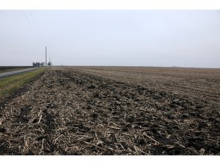 Property photo 13 - LAND AUCTION - 241.8+/- ACRES OFFERED IN 3 TRACTS IN SHELBY COUNTY, IL