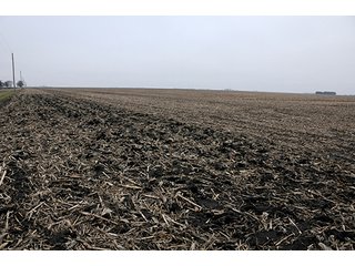 Property photo 3 - LAND AUCTION - 241.8+/- ACRES OFFERED IN 3 TRACTS IN SHELBY COUNTY, IL