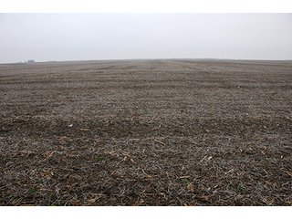 Property photo 4 - LAND AUCTION - 241.8+/- ACRES OFFERED IN 3 TRACTS IN SHELBY COUNTY, IL