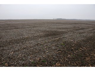 Property photo 5 - LAND AUCTION - 241.8+/- ACRES OFFERED IN 3 TRACTS IN SHELBY COUNTY, IL