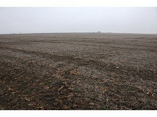 Property photo 6 - LAND AUCTION - 241.8+/- ACRES OFFERED IN 3 TRACTS IN SHELBY COUNTY, IL