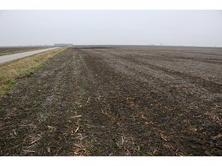 Property photo 7 - LAND AUCTION - 241.8+/- ACRES OFFERED IN 3 TRACTS IN SHELBY COUNTY, IL
