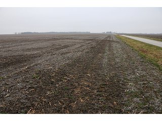 Property photo 8 - LAND AUCTION - 241.8+/- ACRES OFFERED IN 3 TRACTS IN SHELBY COUNTY, IL