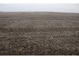 Property photo 9 - LAND AUCTION - 241.8+/- ACRES OFFERED IN 3 TRACTS IN SHELBY COUNTY, IL