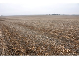 Property photo 12 - LAND AUCTION - 241.8+/- ACRES OFFERED IN 3 TRACTS IN SHELBY COUNTY, IL