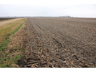 Property photo 1 - LAND AUCTION - 241.8+/- ACRES OFFERED IN 3 TRACTS IN SHELBY COUNTY, IL