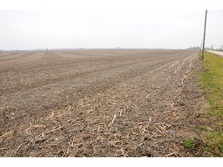 Property photo 14 - LAND AUCTION - 241.8+/- ACRES OFFERED IN 3 TRACTS IN SHELBY COUNTY, IL