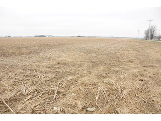Property photo 10 - LAND AUCTION - 77+/- ACRES IN HENRY COUNTY, OHIO