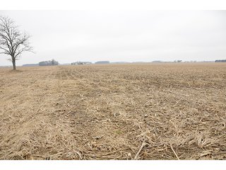 Property photo 9 - LAND AUCTION - 77+/- ACRES IN HENRY COUNTY, OHIO