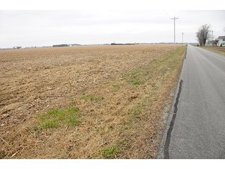 Property photo 8 - LAND AUCTION - 77+/- ACRES IN HENRY COUNTY, OHIO