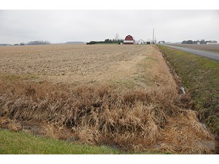 Property photo 5 - LAND AUCTION - 77+/- ACRES IN HENRY COUNTY, OHIO