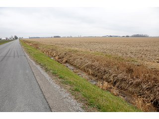 Property photo 2 - LAND AUCTION - 77+/- ACRES IN HENRY COUNTY, OHIO