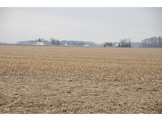 Property photo 4 - LAND AUCTION - 77+/- ACRES IN HENRY COUNTY, OHIO