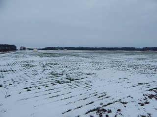 Property photo 40 - LAND AUCTION - 459+/- ACRES OFFERED IN 12 TRACTS IN DEFIANCE COUNTY, OHIO