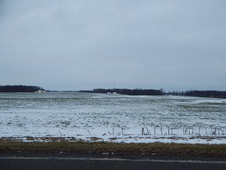 Property photo 42 - LAND AUCTION - 459+/- ACRES OFFERED IN 12 TRACTS IN DEFIANCE COUNTY, OHIO