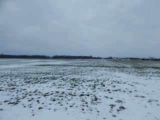 Property photo 43 - LAND AUCTION - 459+/- ACRES OFFERED IN 12 TRACTS IN DEFIANCE COUNTY, OHIO