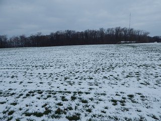 Property photo 48 - LAND AUCTION - 459+/- ACRES OFFERED IN 12 TRACTS IN DEFIANCE COUNTY, OHIO