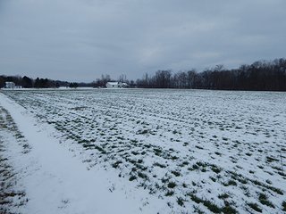 Property photo 49 - LAND AUCTION - 459+/- ACRES OFFERED IN 12 TRACTS IN DEFIANCE COUNTY, OHIO