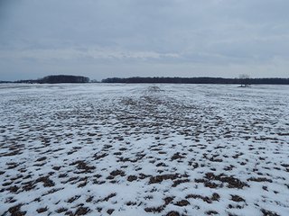 Property photo 51 - LAND AUCTION - 459+/- ACRES OFFERED IN 12 TRACTS IN DEFIANCE COUNTY, OHIO