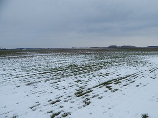 Property photo 59 - LAND AUCTION - 459+/- ACRES OFFERED IN 12 TRACTS IN DEFIANCE COUNTY, OHIO